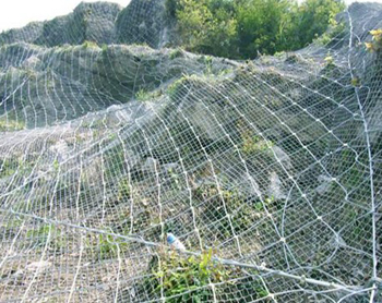 ߅�·��o(h��)�W(w��ng),߅�·��o(h��)�W(w��ng)�S��